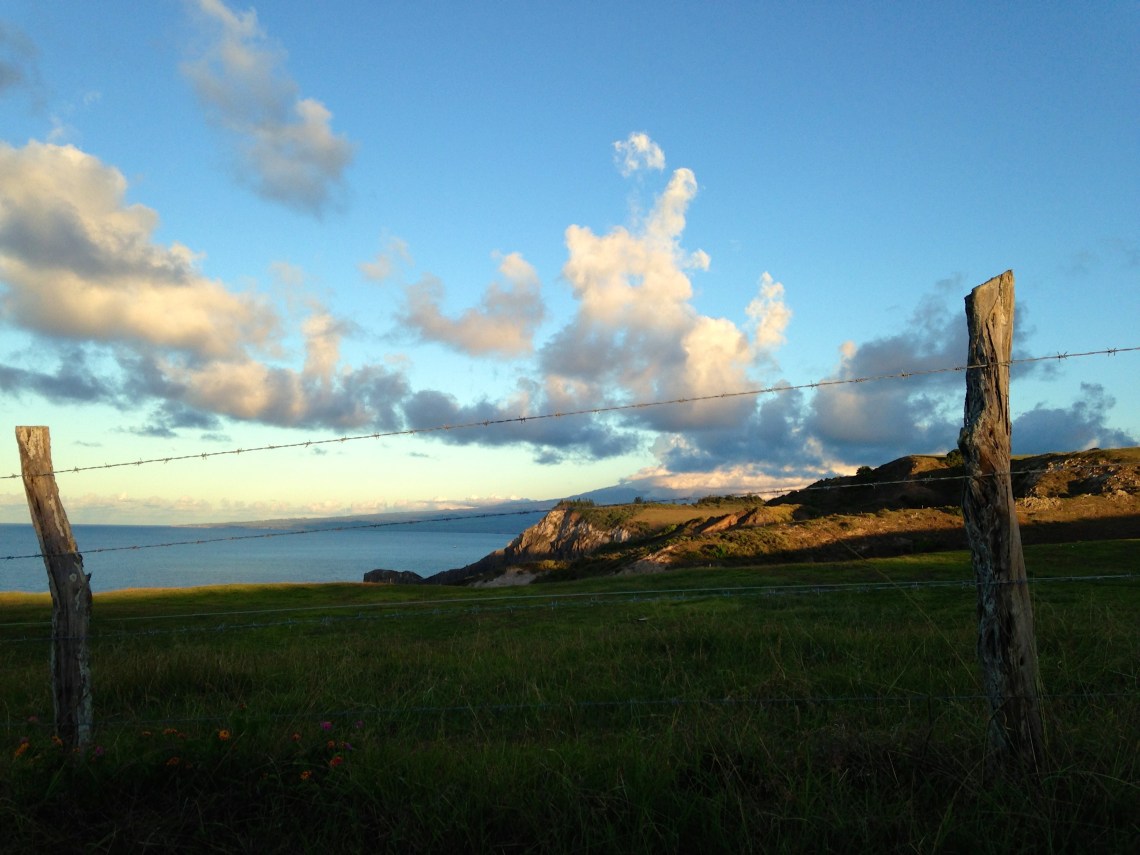 A Field in West Maui