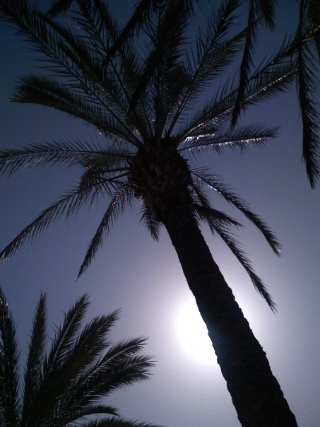 181_11378987062_821_n