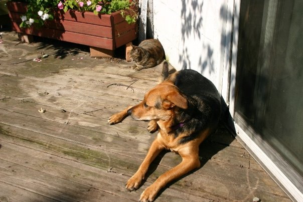 friends til the end