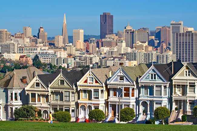 Painted Ladies San Frnacisco